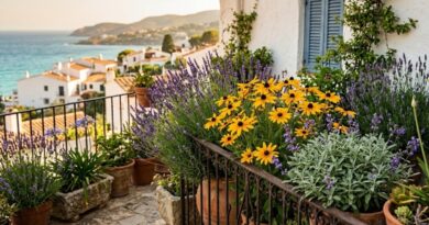 Cveće koje podnosi sušu