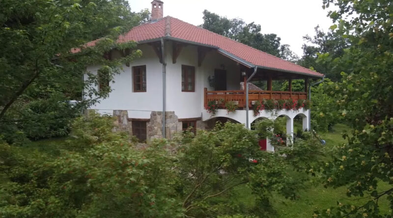 Najbolje drvo za hladovinu