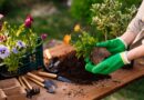 Kako pripremiti baštu za proleće – koraci koje ne treba preskočiti
