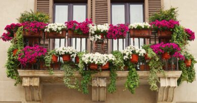 Cveće za balkon u hladu