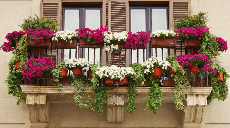 Cveće za balkon u hladu