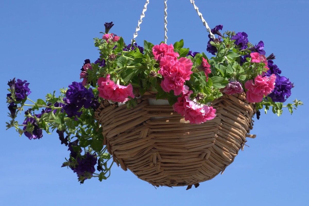visoka korpa sa šarenim cvećem