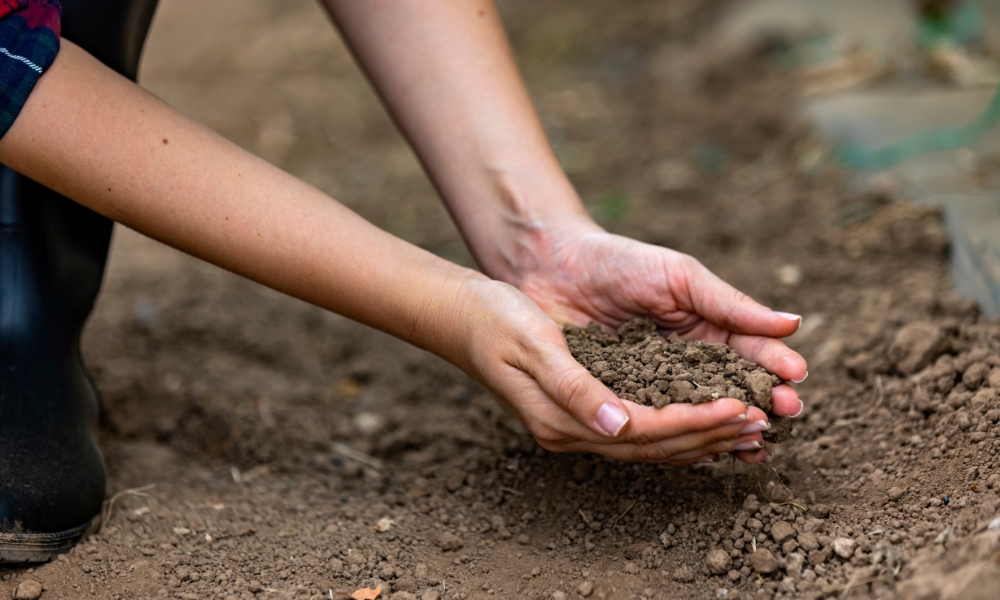 ph vrednost zemljišta