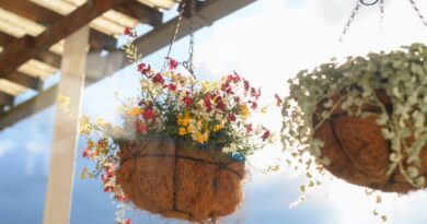 prikaz dve viseće korpe