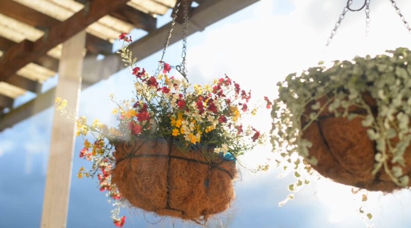 prikaz dve viseće korpe